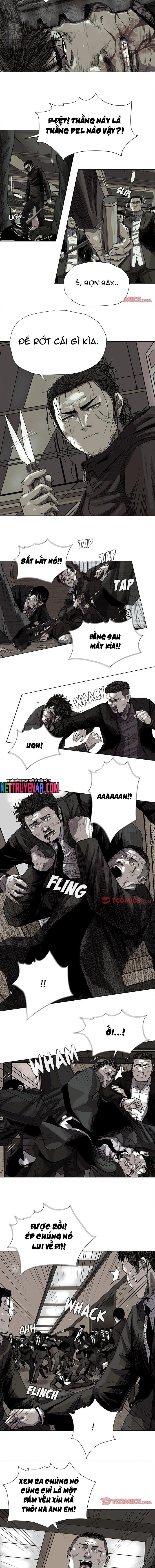 Miền Đất Xanh: Chapter 58