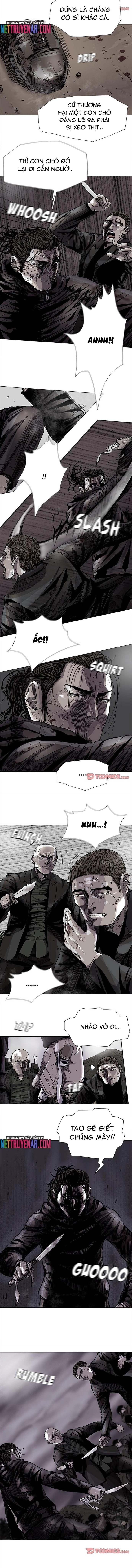 Miền Đất Xanh: Chapter 85