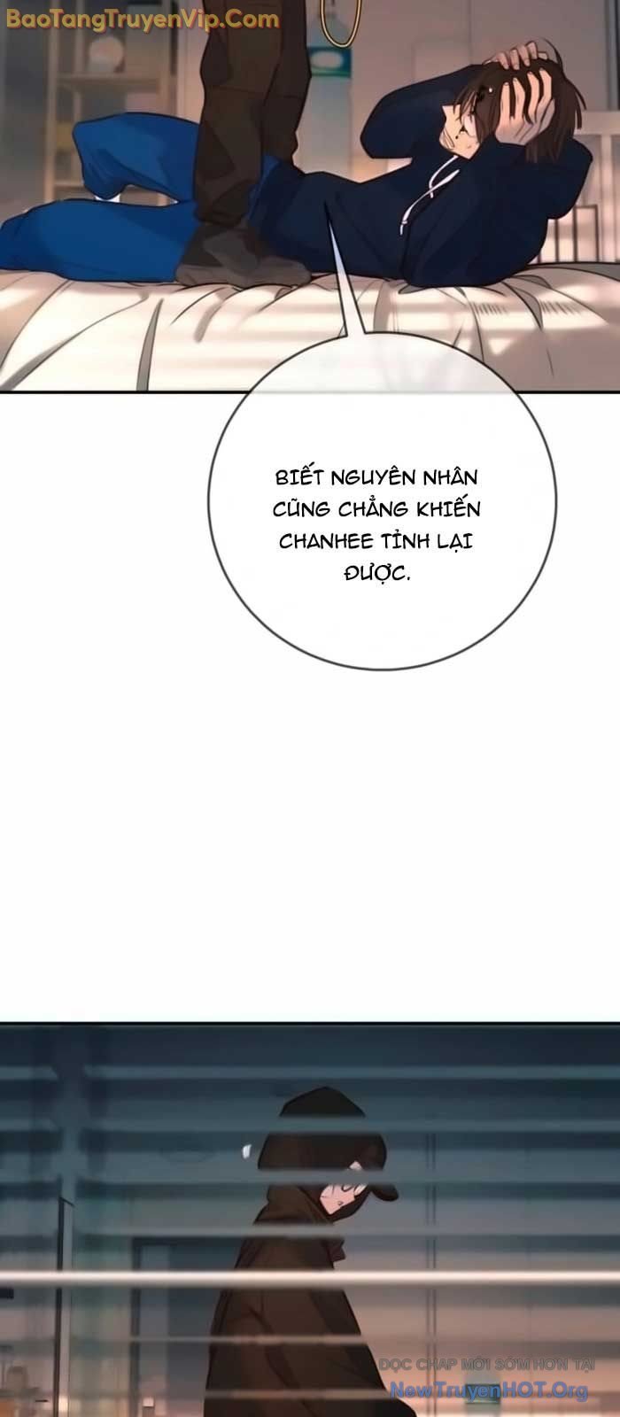 Mọi Người Đều Yêu Cô Ấy: Chapter 19