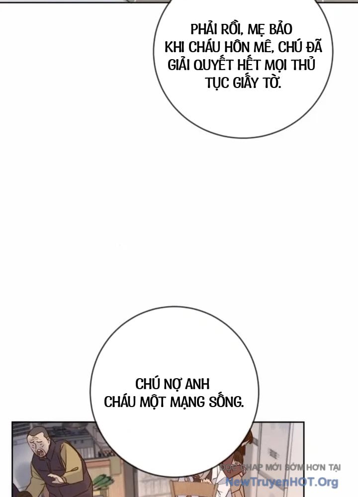 Mọi Người Đều Yêu Cô Ấy: Chapter 22