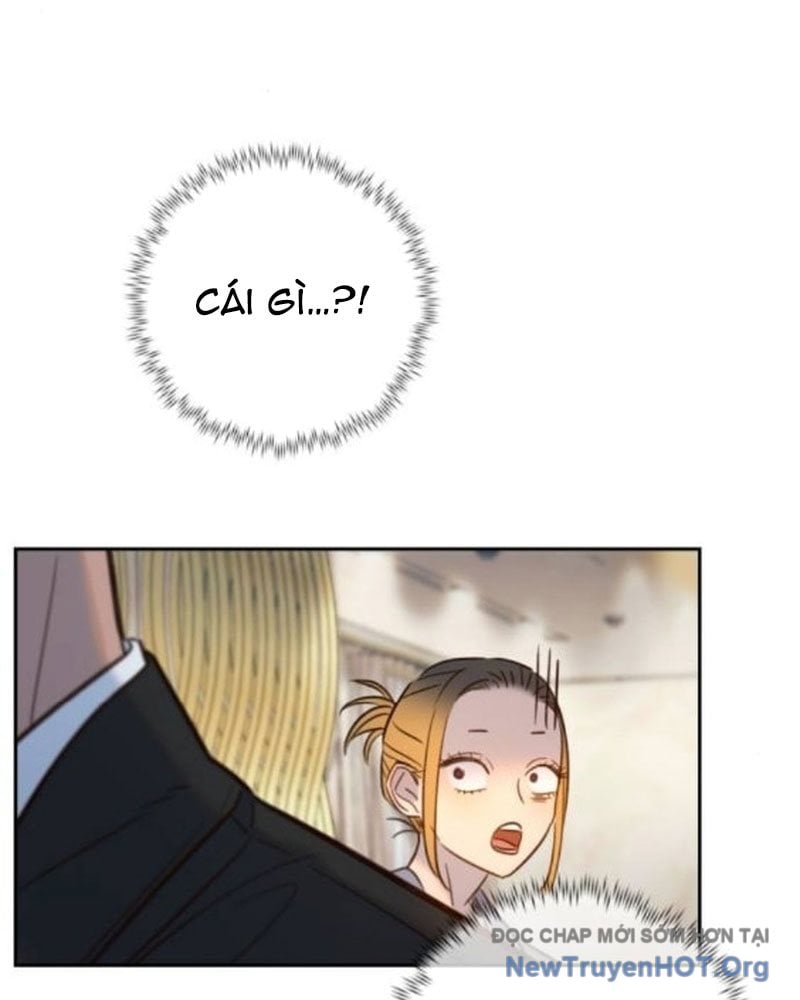 Mọi Người Đều Yêu Cô Ấy: Chapter 24