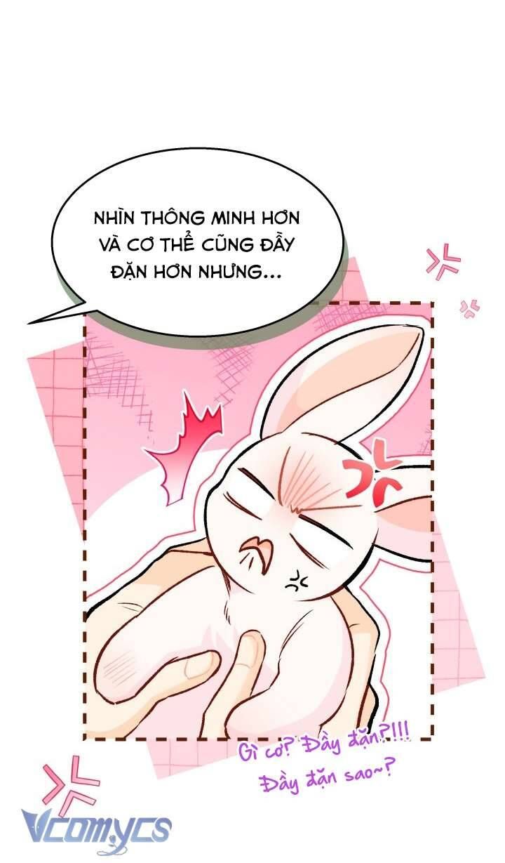 Mối Quan Hệ Cộng Sinh Giữa Báo Đen Và Thỏ Trắng: Chapter 128