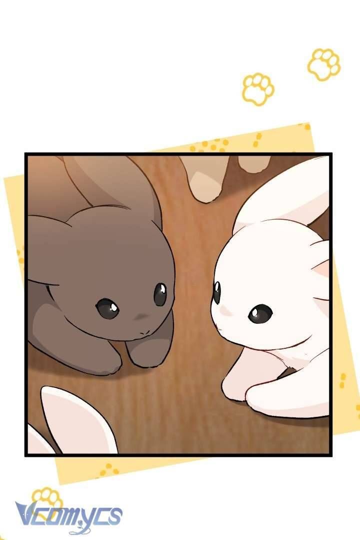 Mối Quan Hệ Cộng Sinh Giữa Báo Đen Và Thỏ Trắng: Chapter 128