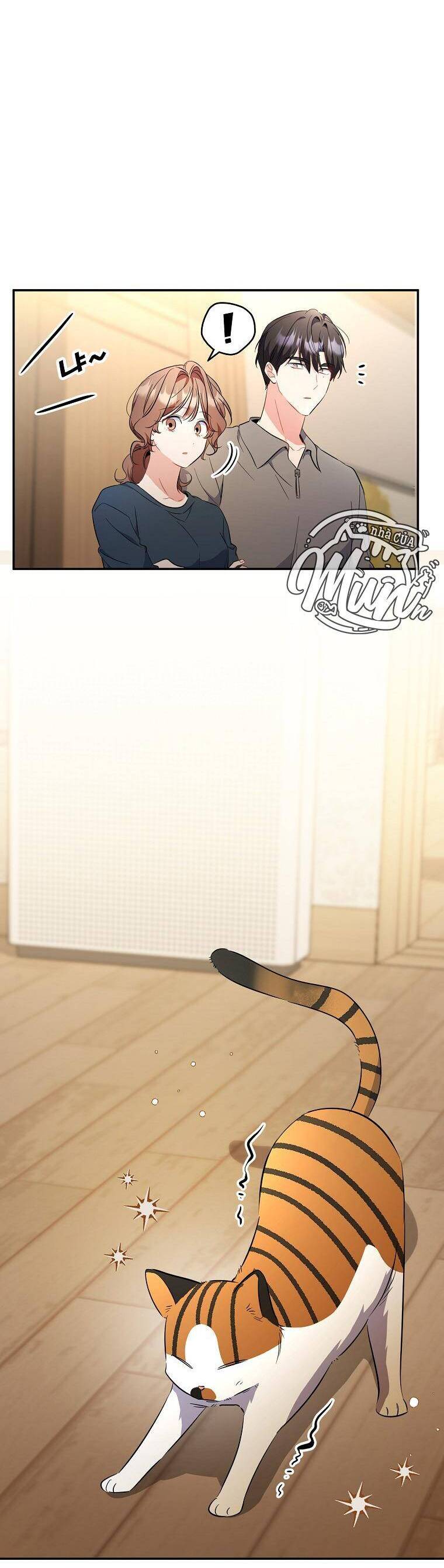 Mối Tình Đầu Đến Từ Tương Lai: Chapter 37