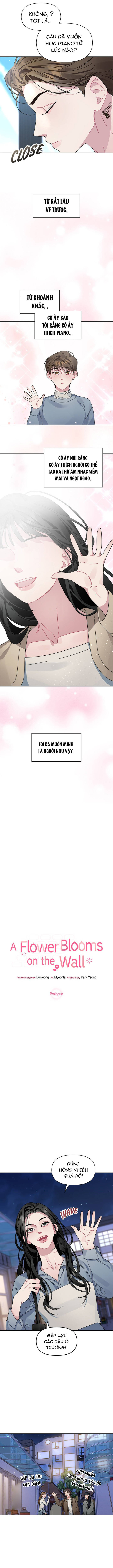 Một Bông Hoa Nở Trên Tường: Chapter 1