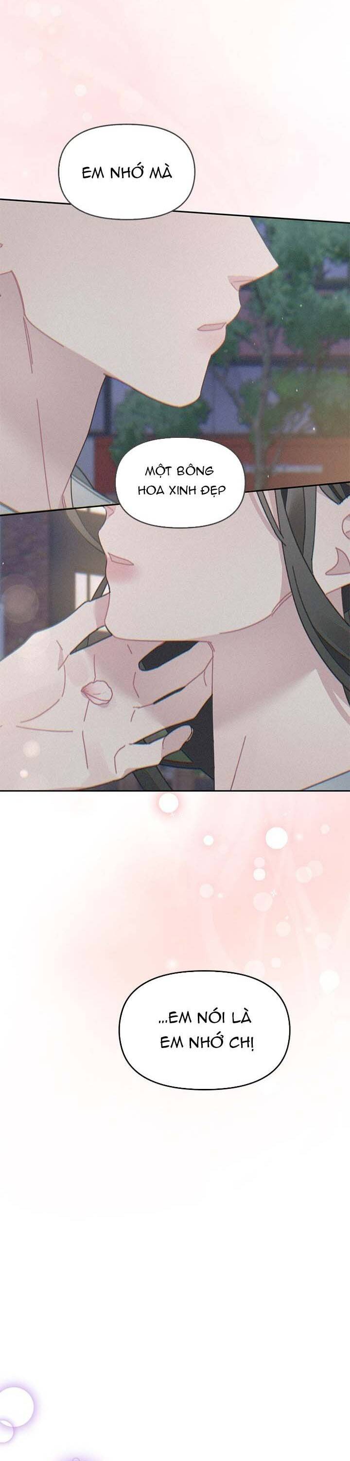 Một Bông Hoa Nở Trên Tường: Chapter 20