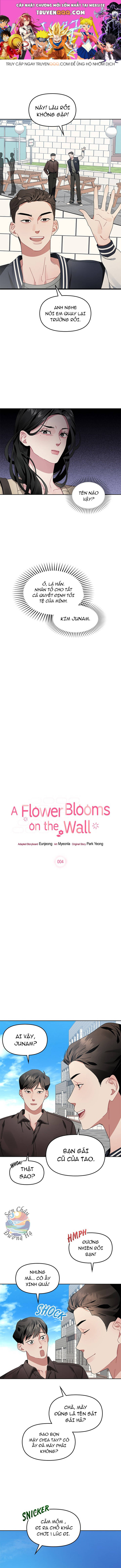 Một Bông Hoa Nở Trên Tường: Chapter 5