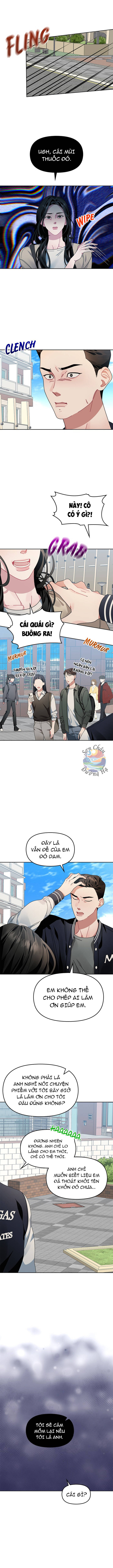 Một Bông Hoa Nở Trên Tường: Chapter 5