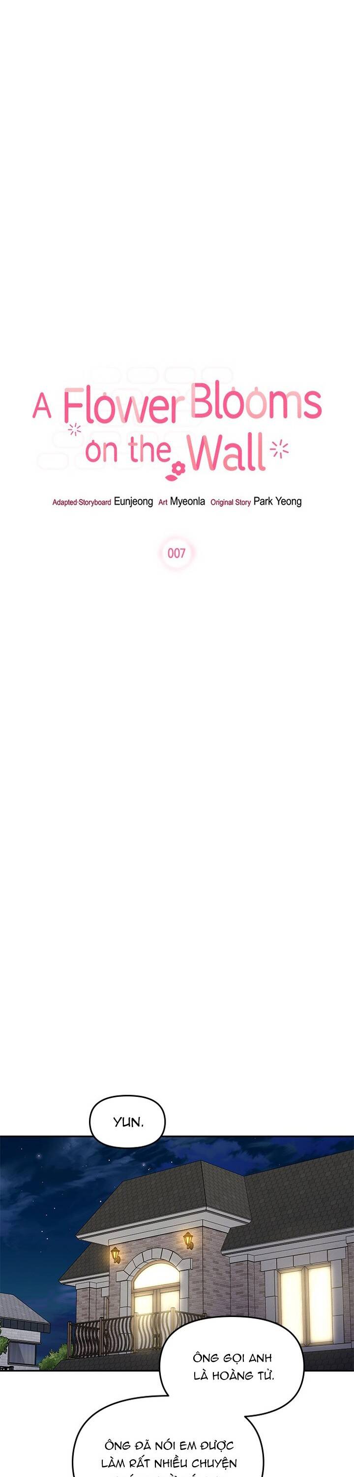 Một Bông Hoa Nở Trên Tường: Chapter 7