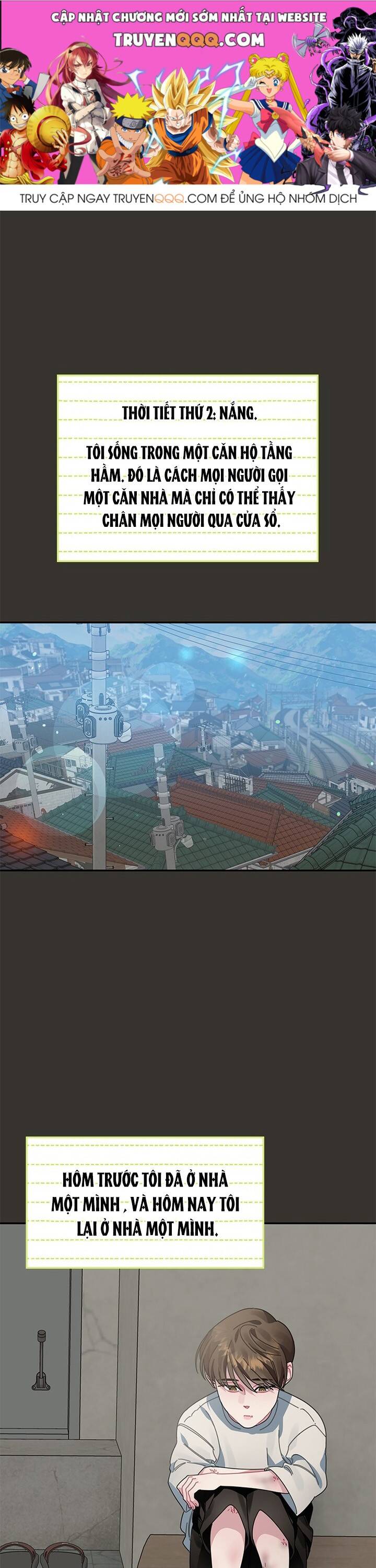 Một Bông Hoa Nở Trên Tường: Chapter 8