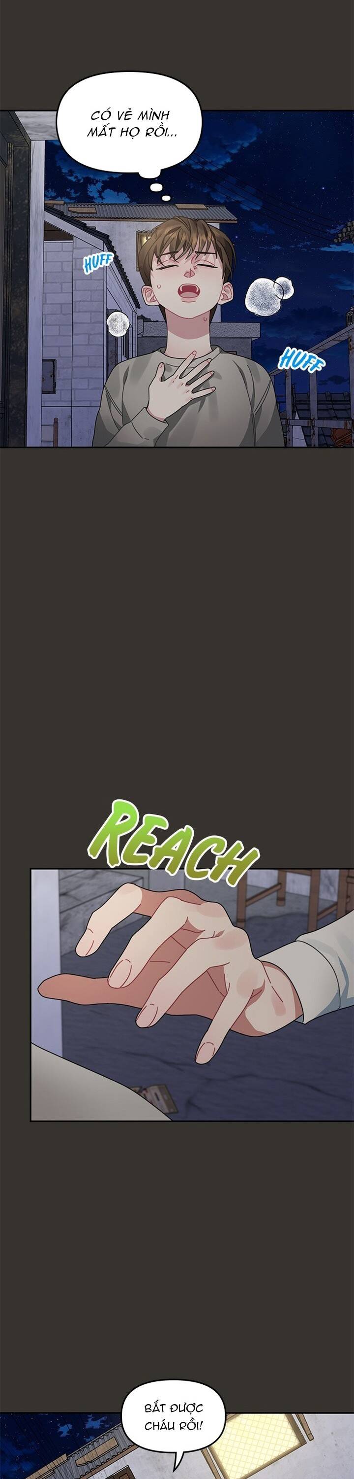 Một Bông Hoa Nở Trên Tường: Chapter 8
