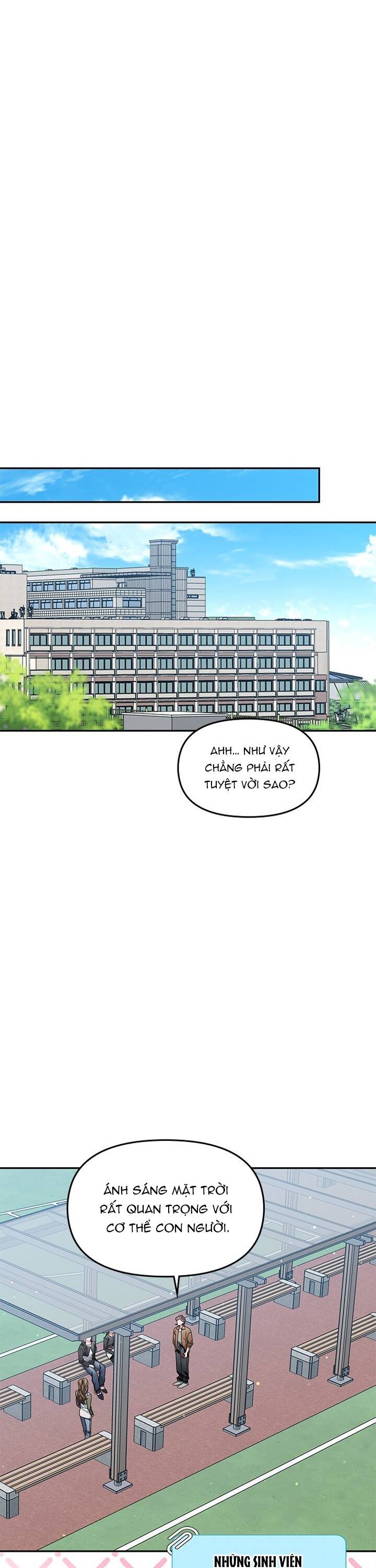 Một Bông Hoa Nở Trên Tường: Chapter 9