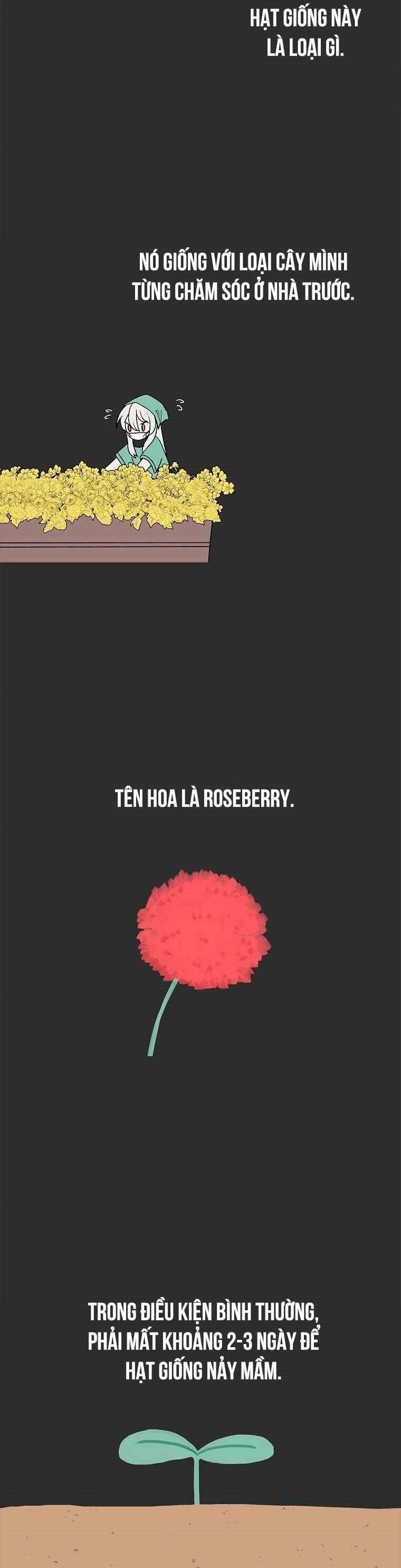 Một Mảnh Thời Gian: Chapter 5