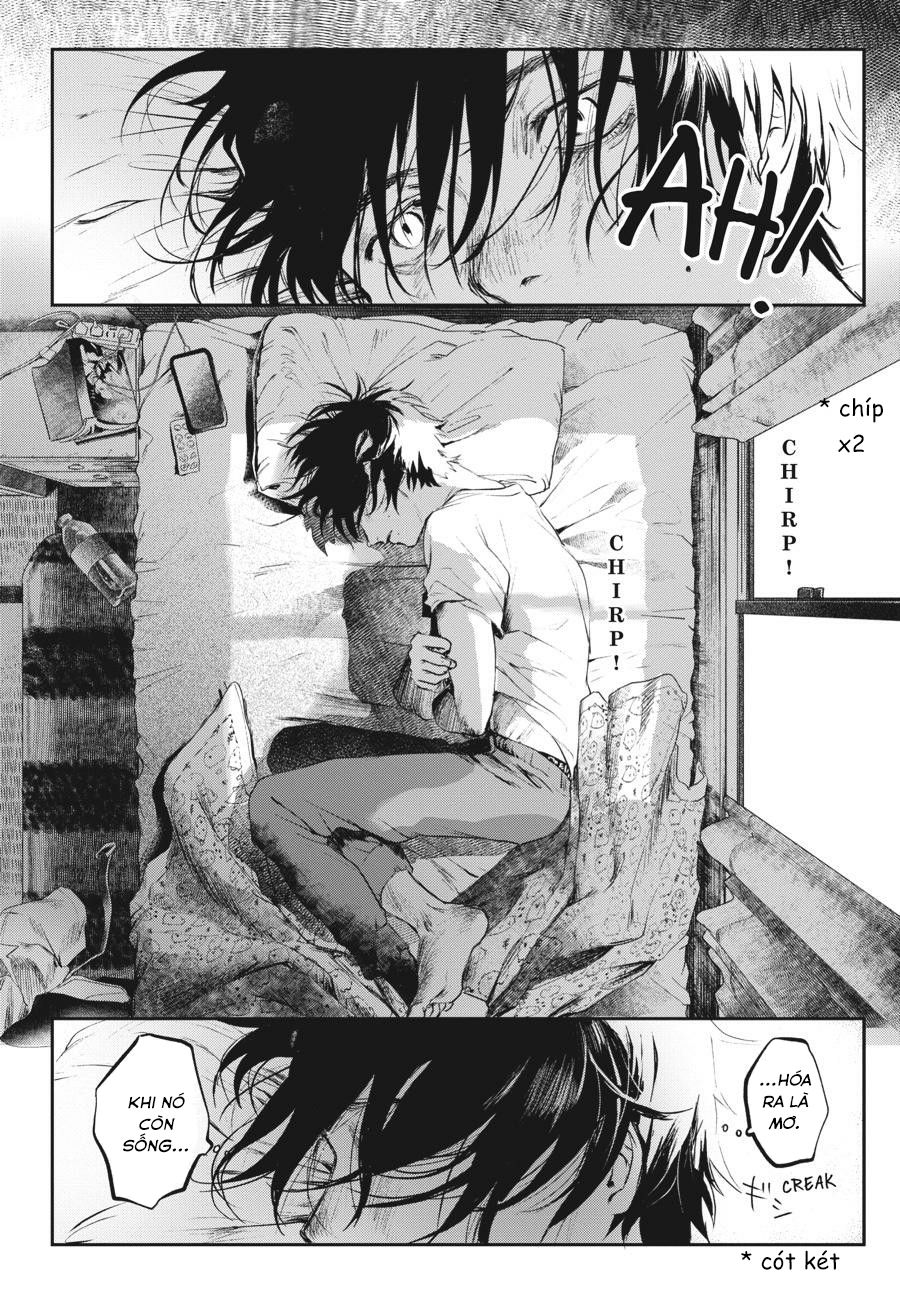 Mùa Hè Hikaru Ra Đi: Chapter 1