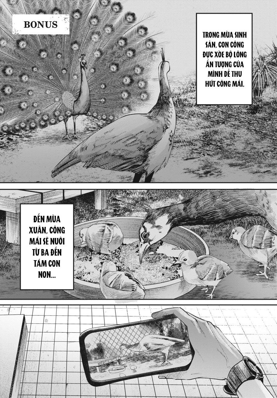 Mùa Hè Hikaru Ra Đi: Chapter 11.5