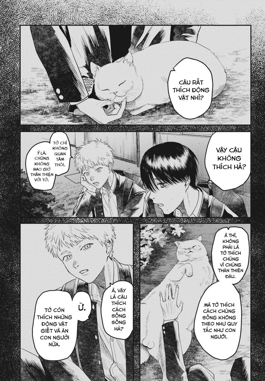 Mùa Hè Hikaru Ra Đi: Chapter 19