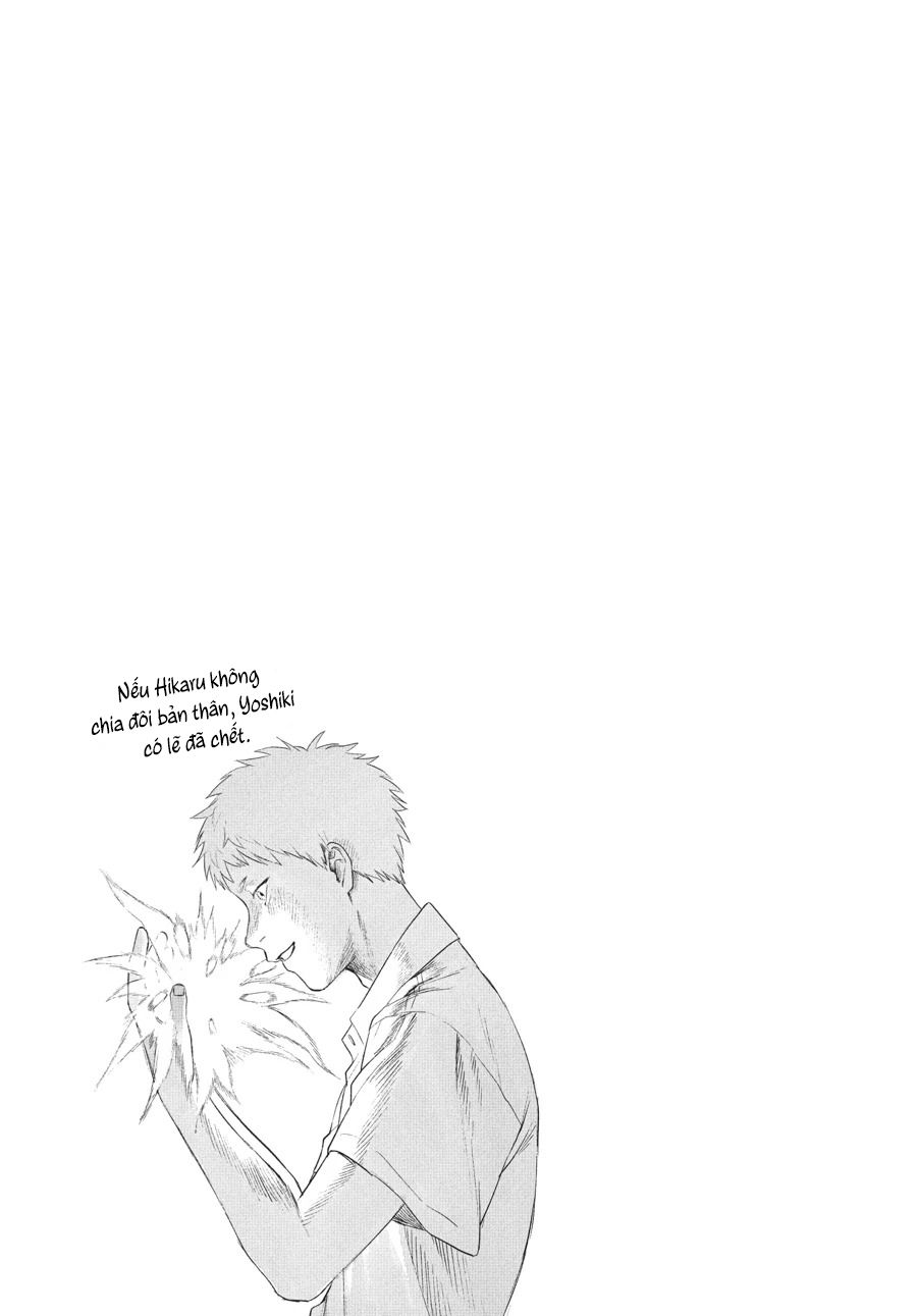 Mùa Hè Hikaru Ra Đi: Chapter 24