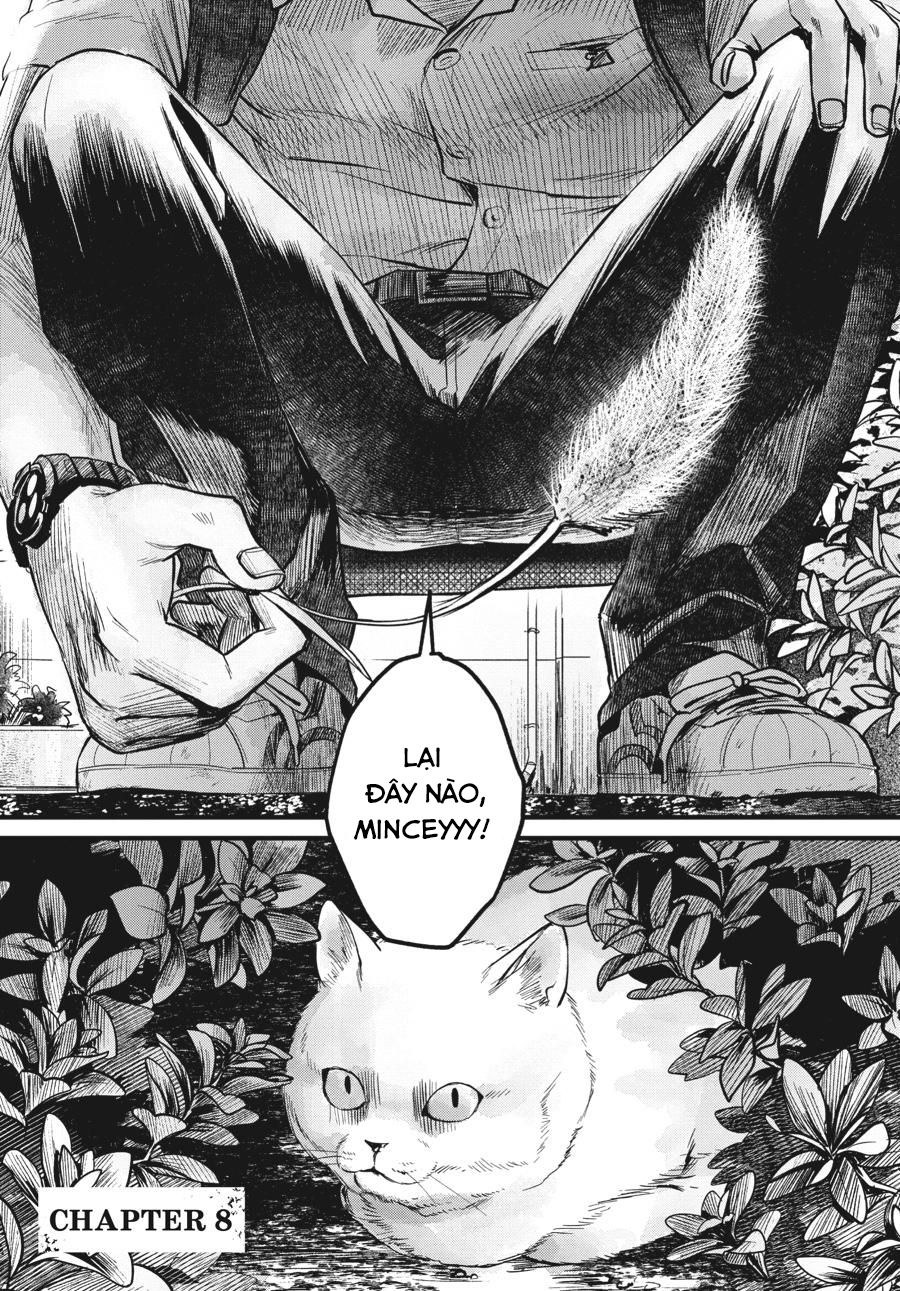 Mùa Hè Hikaru Ra Đi: Chapter 8