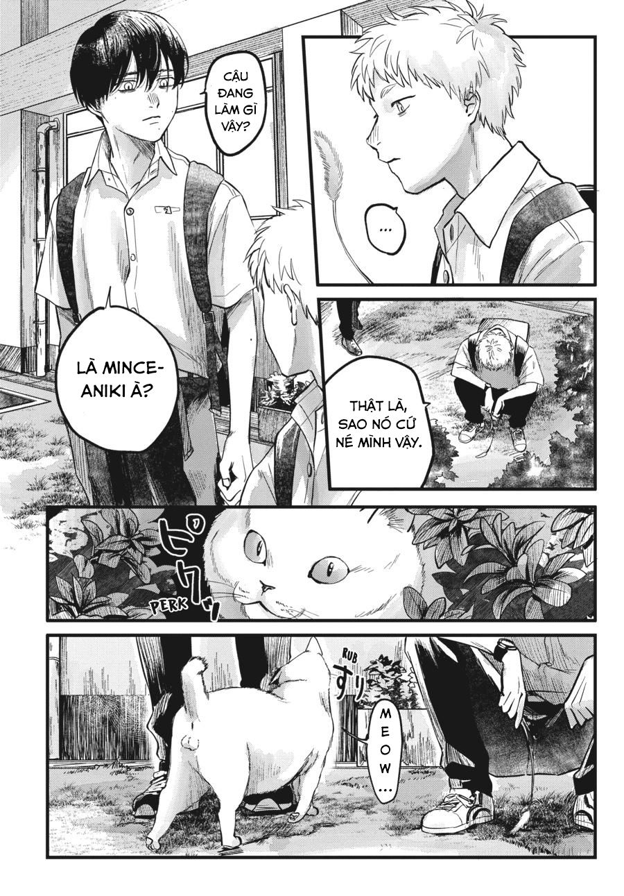 Mùa Hè Hikaru Ra Đi: Chapter 8