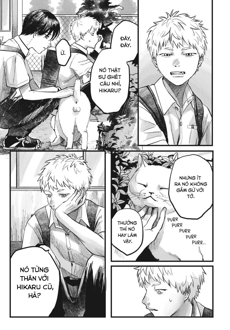 Mùa Hè Hikaru Ra Đi: Chapter 8