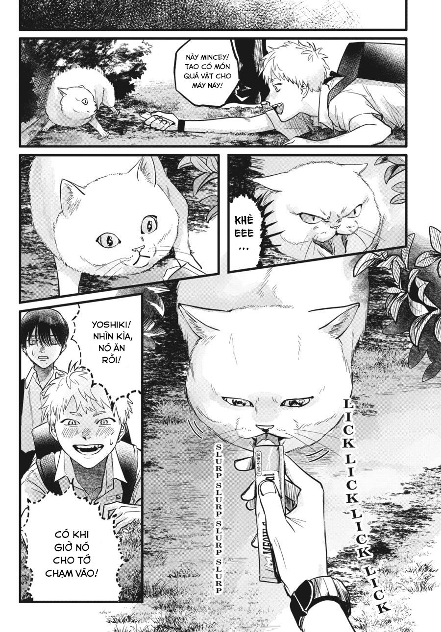 Mùa Hè Hikaru Ra Đi: Chapter 8