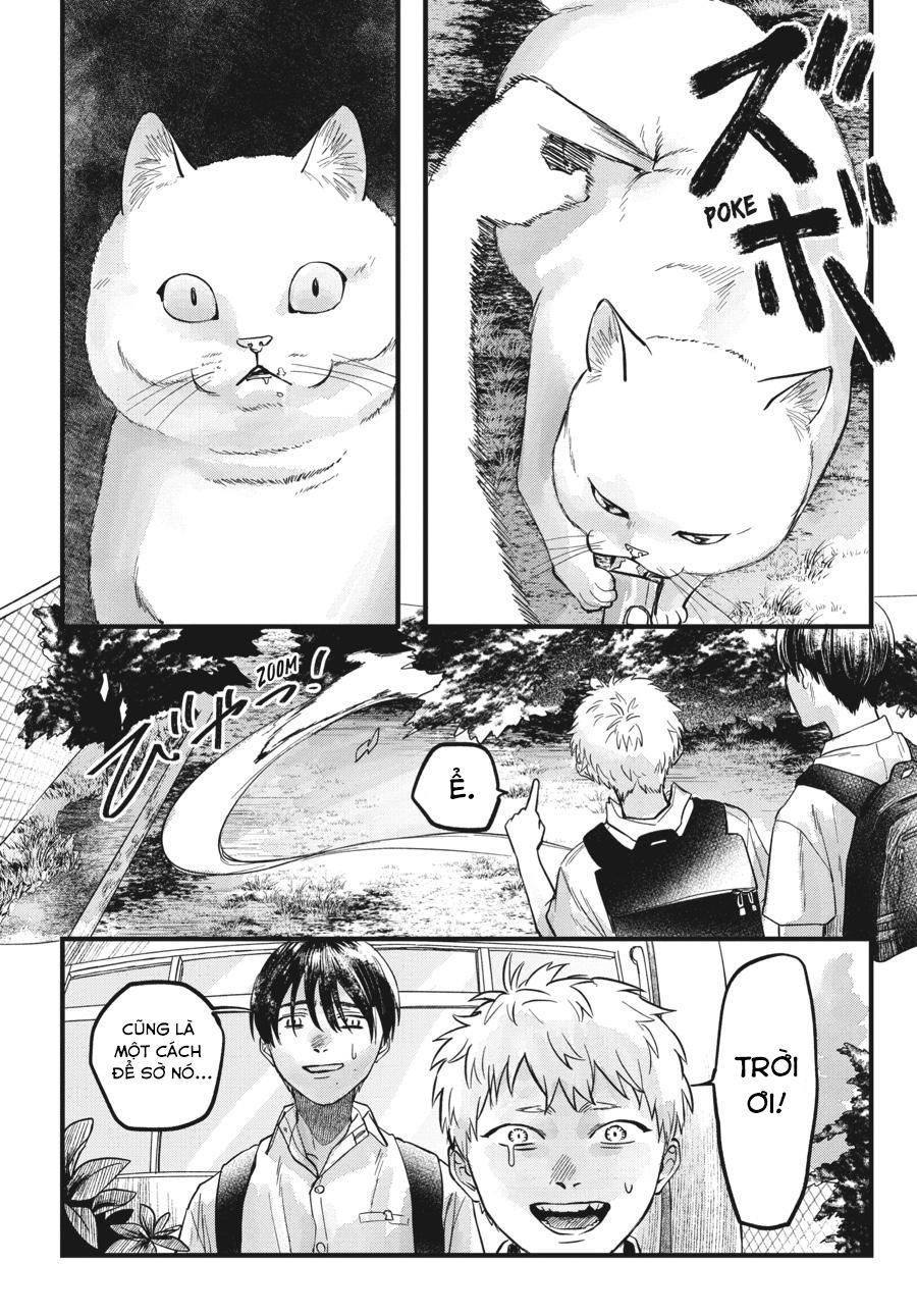 Mùa Hè Hikaru Ra Đi: Chapter 8