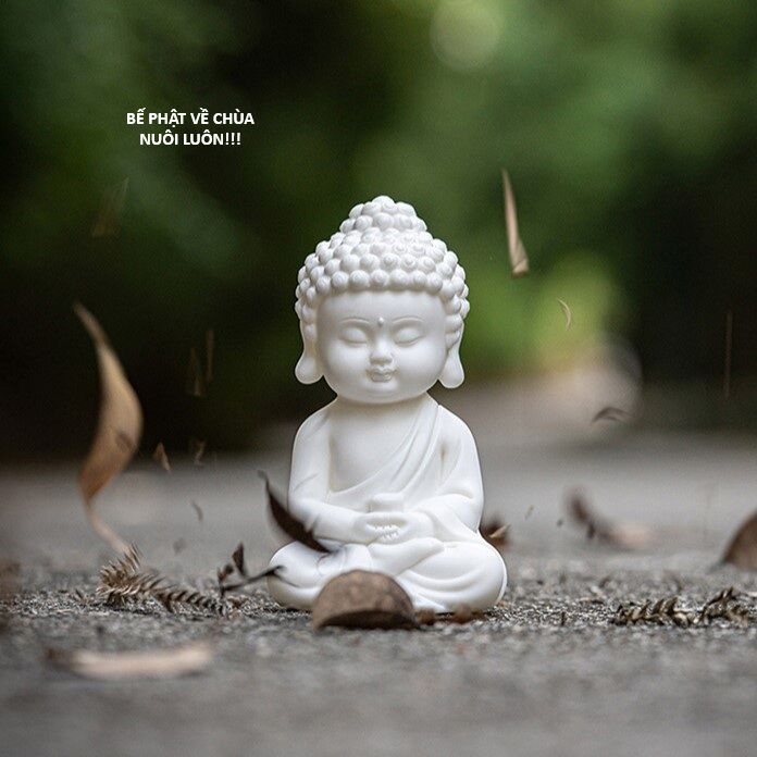 Ngay Cả Khi Hậu Tận Thế, Thật Hạnh Phúc Khi Vẫn Còn Được Sống... (Puchimasu Miếu): Chapter 4.5