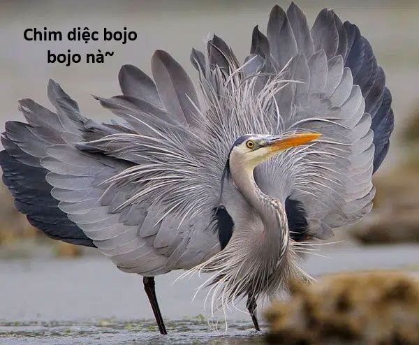 Ngay Cả Khi Hậu Tận Thế, Thật Hạnh Phúc Khi Vẫn Còn Được Sống... (Puchimasu Miếu): Chapter 4.5