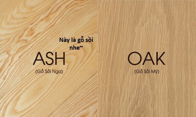 Ngay Cả Khi Hậu Tận Thế, Thật Hạnh Phúc Khi Vẫn Còn Được Sống... (Puchimasu Miếu): Chapter 44.1