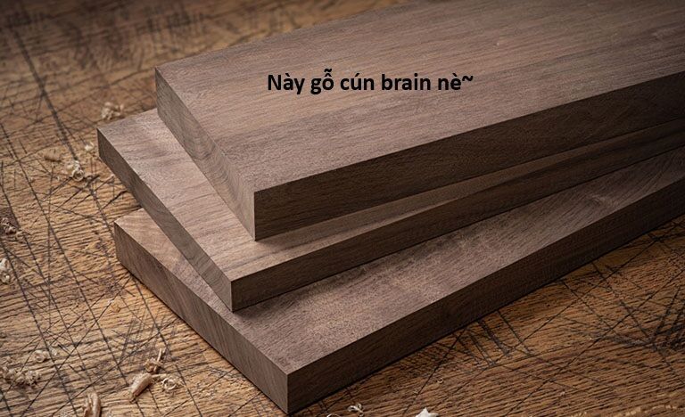 Ngay Cả Khi Hậu Tận Thế, Thật Hạnh Phúc Khi Vẫn Còn Được Sống... (Puchimasu Miếu): Chapter 44.1