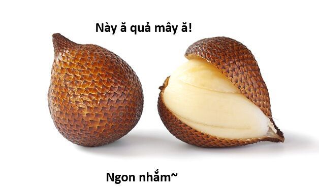 Ngay Cả Khi Hậu Tận Thế, Thật Hạnh Phúc Khi Vẫn Còn Được Sống... (Puchimasu Miếu): Chapter 44.1