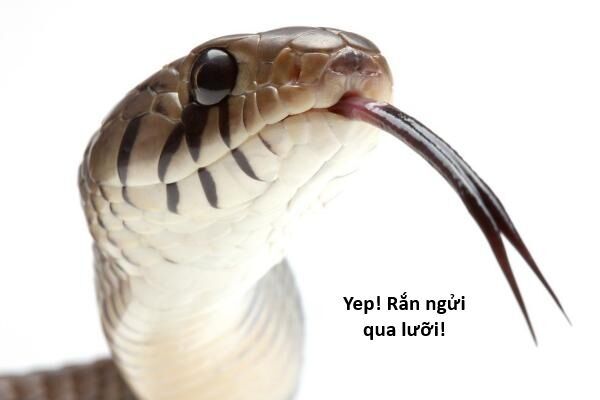 Ngay Cả Khi Hậu Tận Thế, Thật Hạnh Phúc Khi Vẫn Còn Được Sống... (Puchimasu Miếu): Chapter 44.2