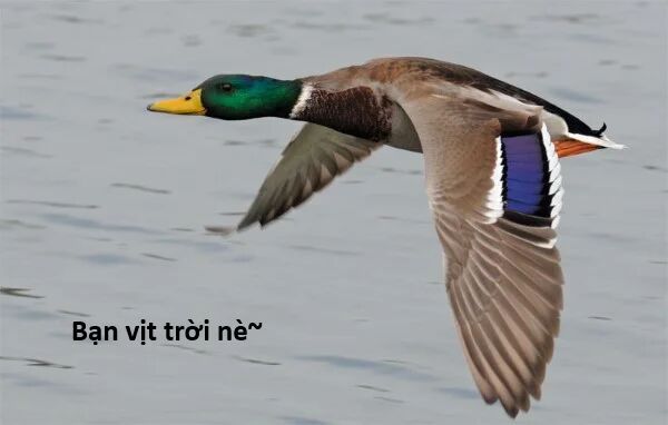 Ngay Cả Khi Hậu Tận Thế, Thật Hạnh Phúc Khi Vẫn Còn Được Sống... (Puchimasu Miếu): Chapter 48.2