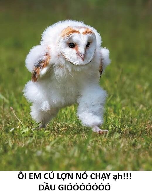 Ngay Cả Khi Hậu Tận Thế, Thật Hạnh Phúc Khi Vẫn Còn Được Sống... (Puchimasu Miếu): Chapter 49.2