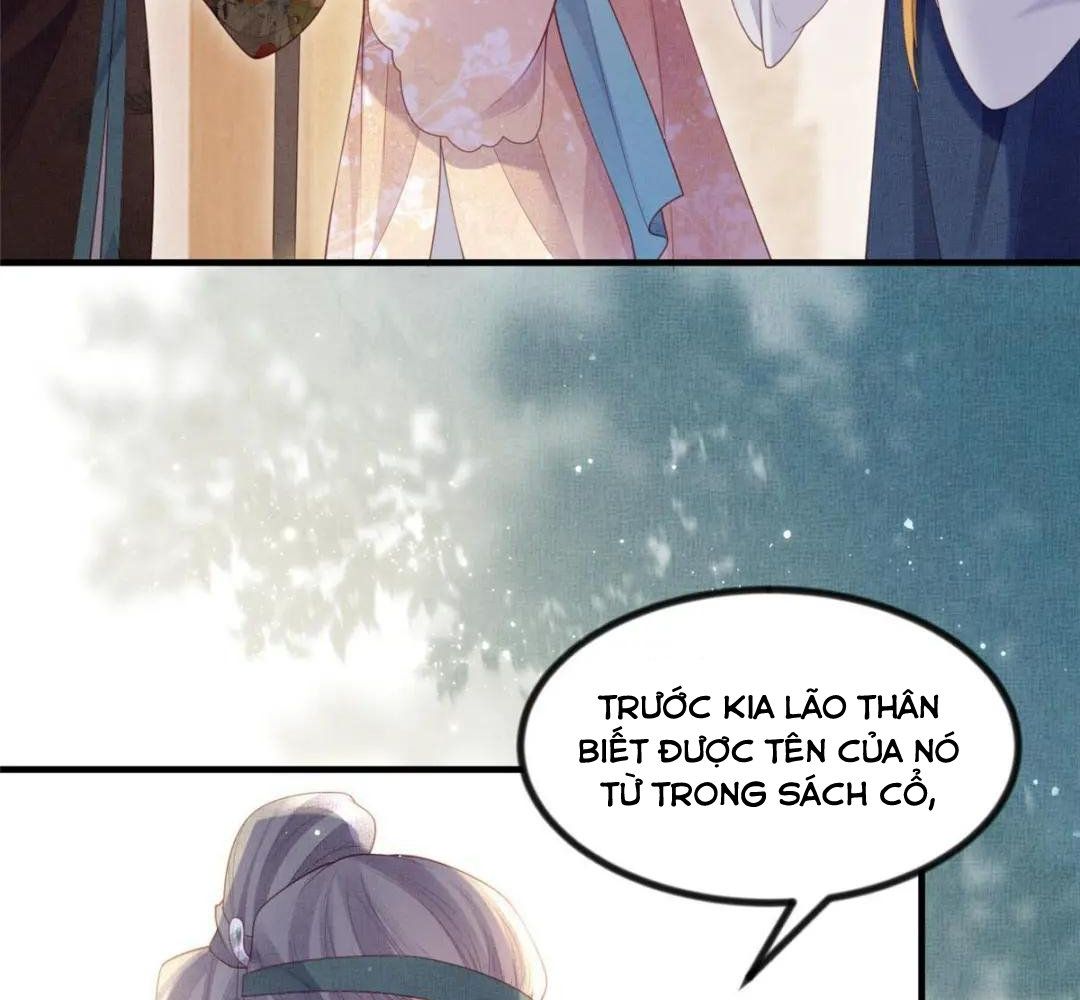 Ngày Nào Trưởng Công Chúa Cũng Muốn Làm Phản: Chapter 49