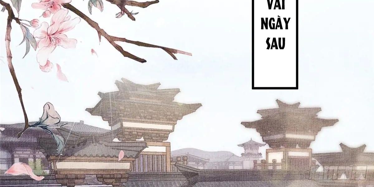 Ngày Nào Trưởng Công Chúa Cũng Muốn Làm Phản: Chapter 74