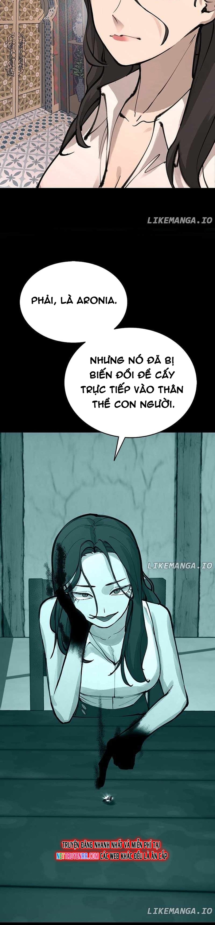Ngọn Lửa Của Hòa Bình: Chapter 41