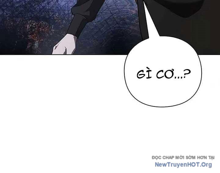 Người Giám Định Cổ Vật: Chapter 45