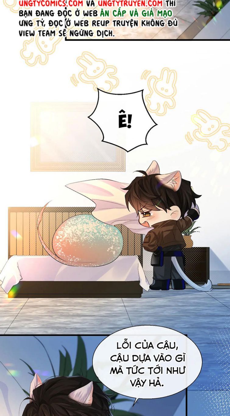 Nhân Ngư Rơi Xuống: Chapter 15