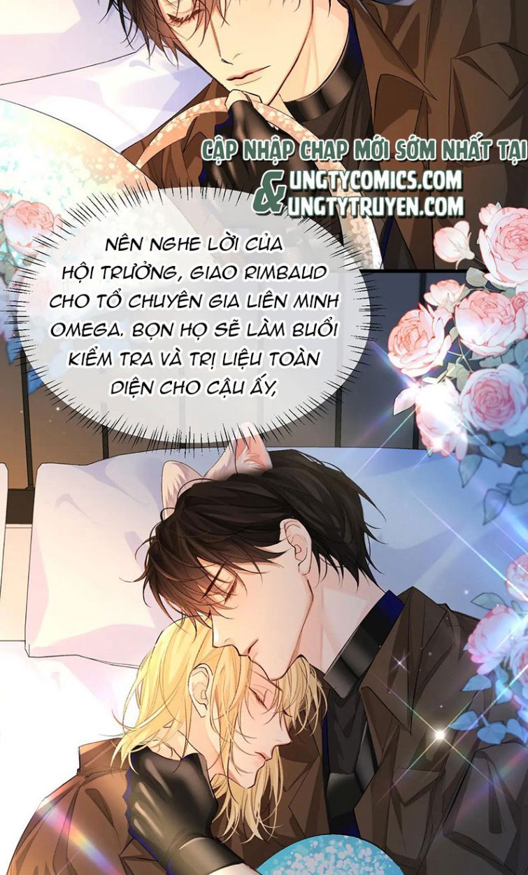 Nhân Ngư Rơi Xuống: Chapter 15