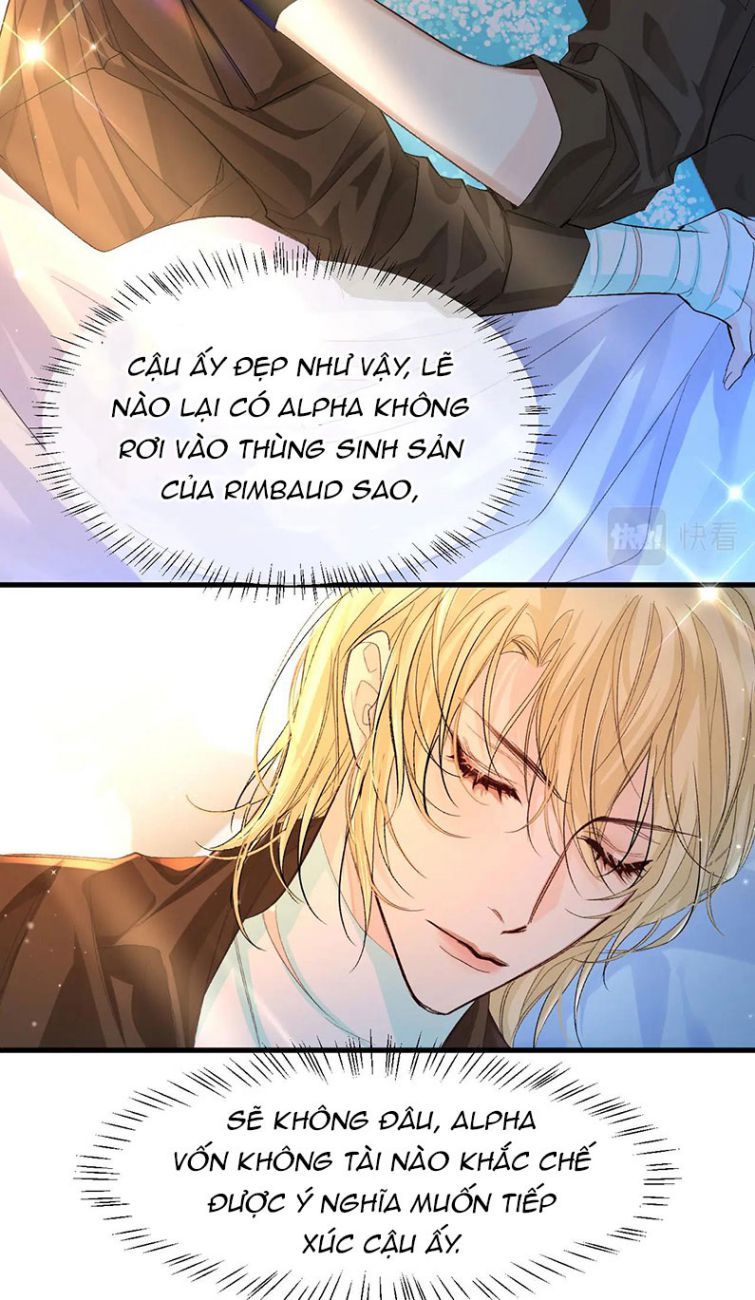 Nhân Ngư Rơi Xuống: Chapter 15