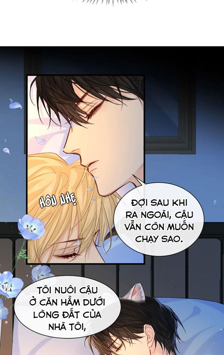 Nhân Ngư Rơi Xuống: Chapter 15