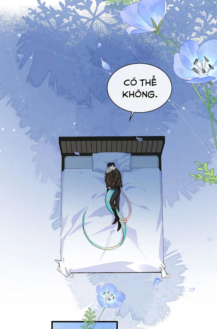 Nhân Ngư Rơi Xuống: Chapter 15