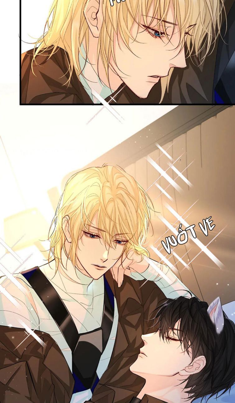 Nhân Ngư Rơi Xuống: Chapter 15