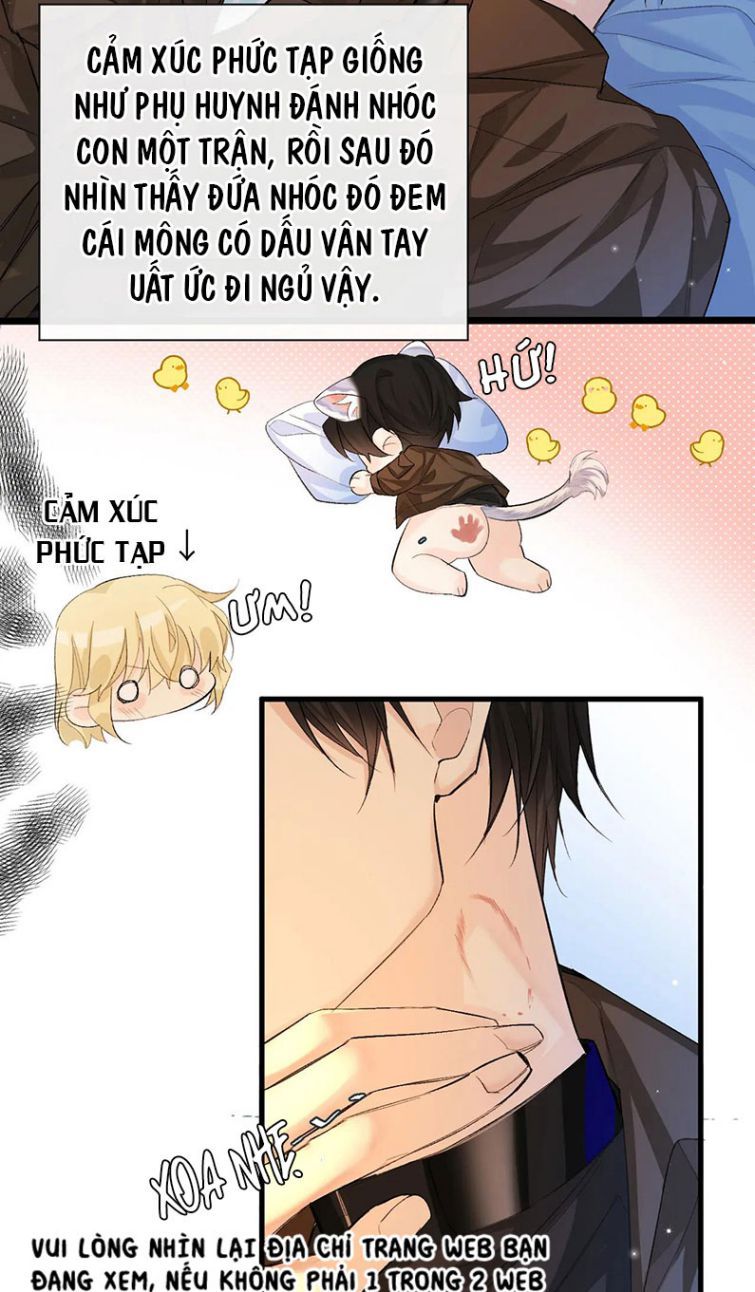 Nhân Ngư Rơi Xuống: Chapter 15