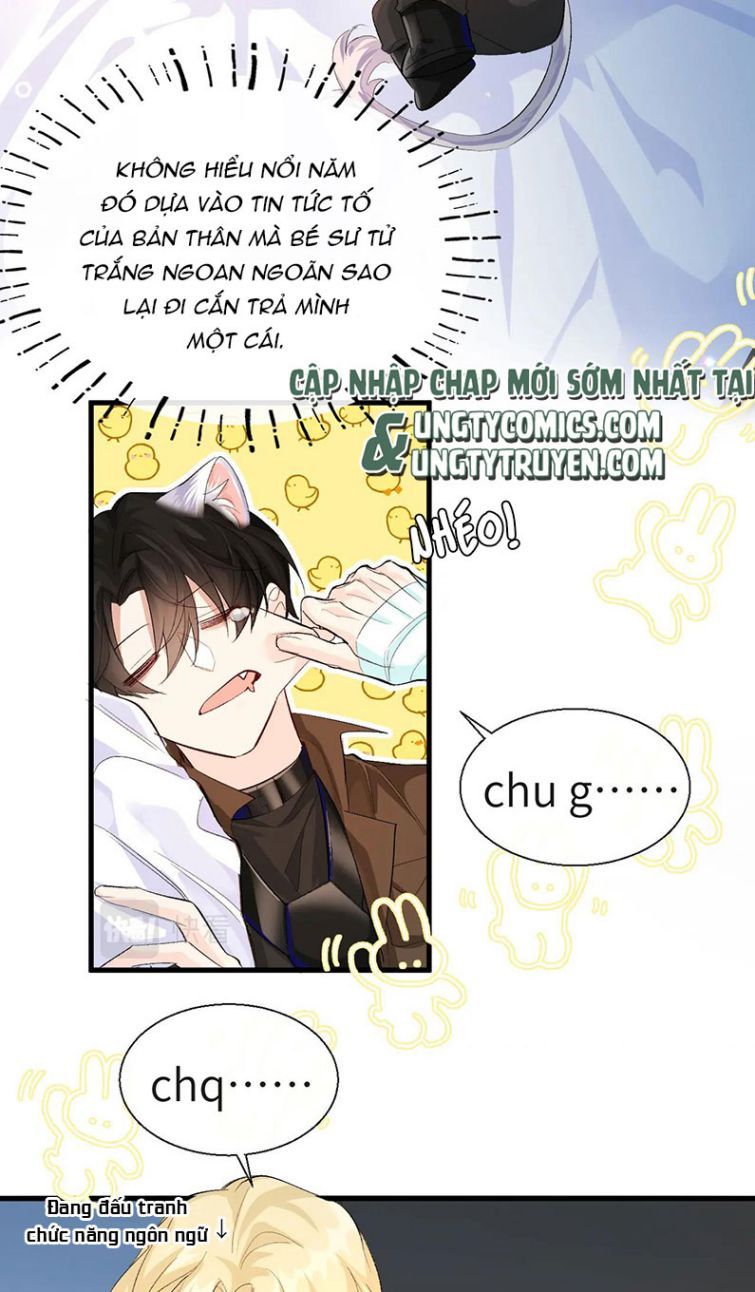 Nhân Ngư Rơi Xuống: Chapter 15