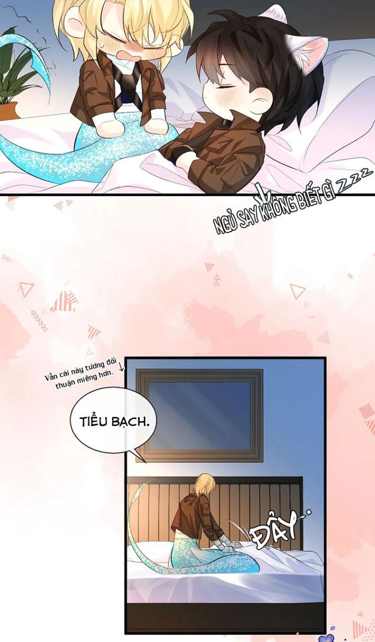 Nhân Ngư Rơi Xuống: Chapter 15