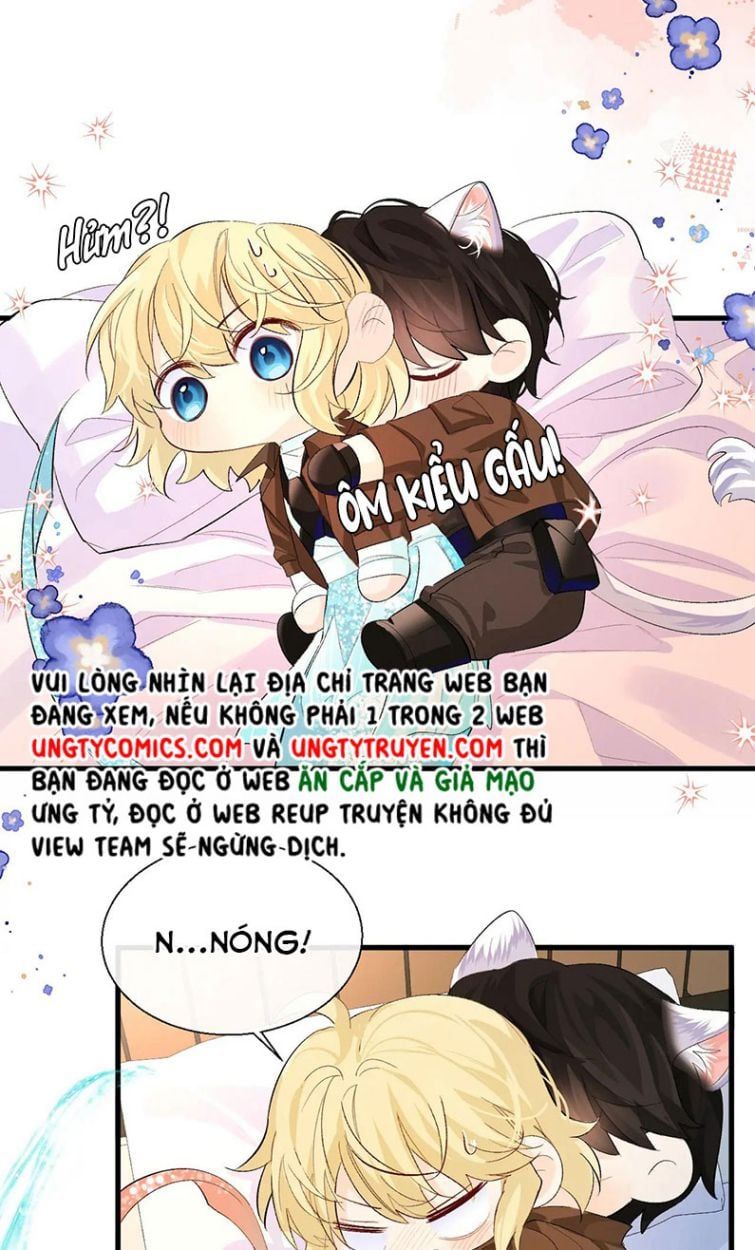 Nhân Ngư Rơi Xuống: Chapter 15