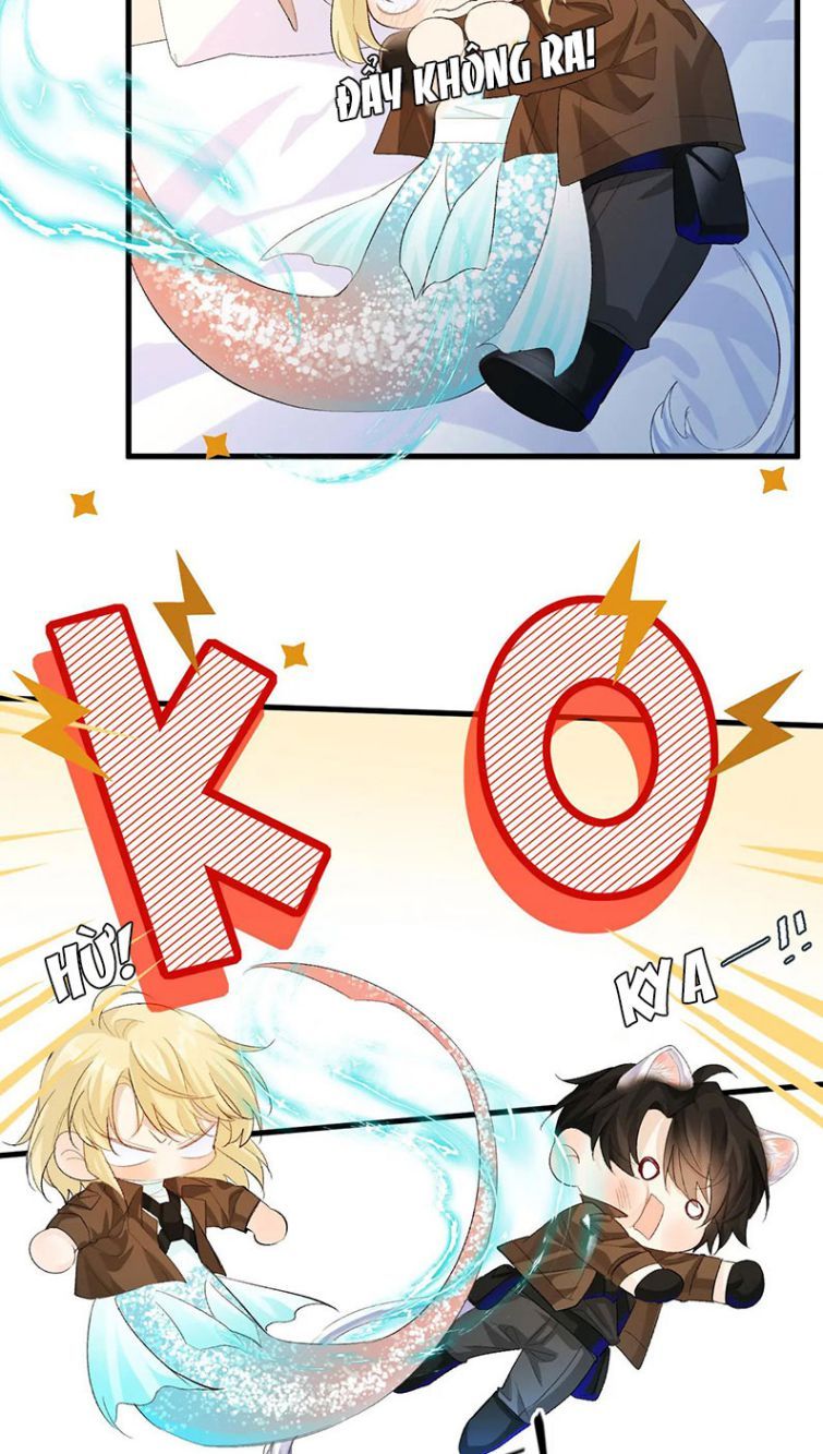 Nhân Ngư Rơi Xuống: Chapter 15