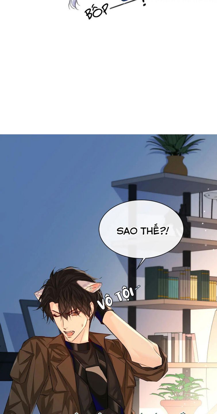 Nhân Ngư Rơi Xuống: Chapter 15